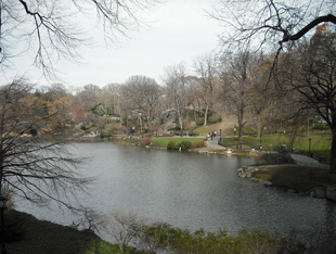 nyc1.jpg